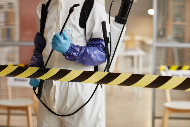 Professional Sewage Cleanup technician working in Miami, FL